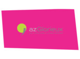 Full color logo  One Way Vision    laminaat  witte achtergrond  - 75x52 cm AZ Glorieux