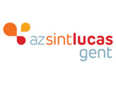 Full color logo  One Way Vision    stratifie  fond blanc  - 75x52 cm AZ Sint-Lucas Gent